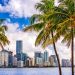 En promedio, un habitante de la ciudad de Miami posee unos USD 10.773 en criptomonedas en su cartera. Fuente:  SeanPavonePhoto/elements.envato.com