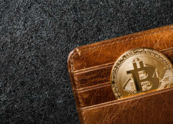 Un monedero con un bitcoin. Fuente:  ff-photo/ Envato Elements