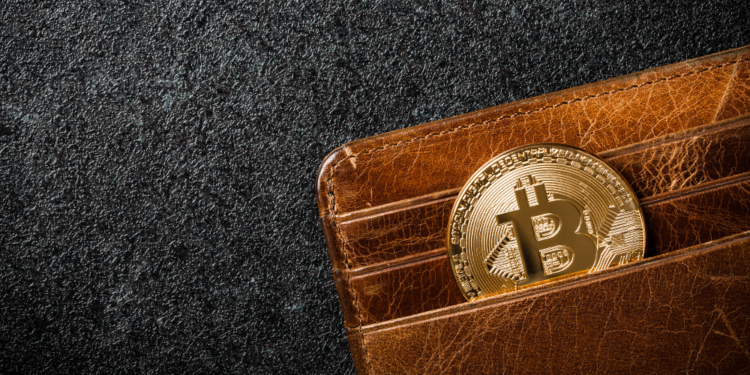 Un monedero con un bitcoin. Fuente: ff-photo/ Envato Elements