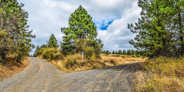 Steemit-blockchain-red