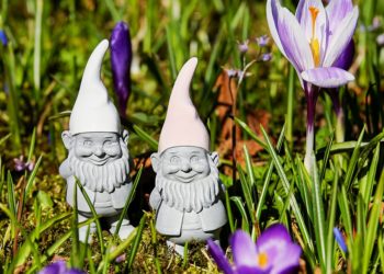 Volatilidad de bitcoin desciende a niveles mínimos. Imagen destacada por Couleur / Pixabay.com