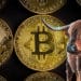 bitcoin-corrida-alcista-Willy-Woo