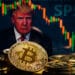 Monedas de Bitcoin con gráfico bajista e imagen de Donald Trump de fondo junto a SP500. Composición por CriptoNoticias. GPA Photo Archive / Flickr.com ; jirkaejc / elements.envato.com