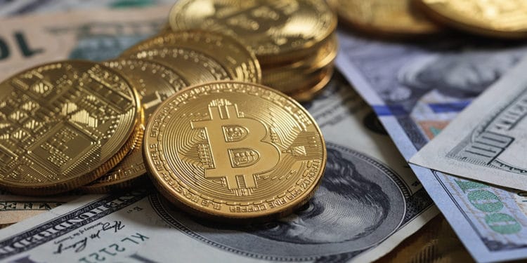 BTC dark net transacciones