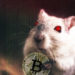 Ratón con ojos rojos con bitcoin en garras y fondo con códigos binarios sobrepuestos. Composición por CriptoNoticias Free-Photos /  pixabay.com ; Gerd Altmann /  pixabay.com ; bitcointere  / pxhere.com.