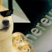 Perro con lentes de sol frente a monedas de dogecoin y moneda de Ethereum. Composición por CriptoNoticias. jirkaejc / elements.envato.com; pNetwork / twitter.com; macondoso / elements.envato.com.