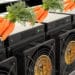 Mineros ASIC son zanahorias que representan Taproot y bitcoins.