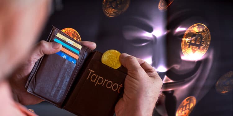 activación taproot monederos bitcoin