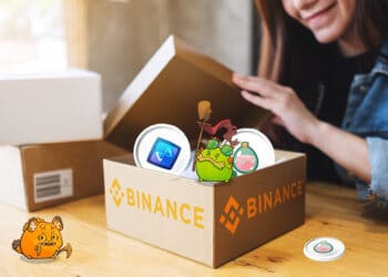 binance-smart-chain-slp-axie-infinity