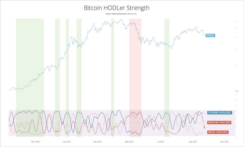 transferencias-bitcoin-entre-holders