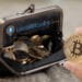 cobro tarifas deposito criptomonedas bitcoin localbitcoins