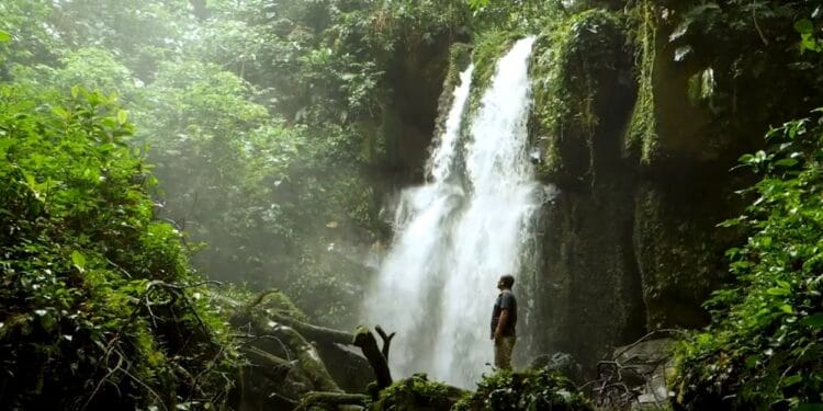 La ONG Conservación de Perú cree en los NFT representan una oportunidad para promover la conservación de las áreas naturales del país suramericano. Fuente: Youtube.com.