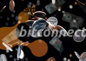 victimas-estafa-bitcoinnect-compensadas-venta-criptomonedas-incautadas