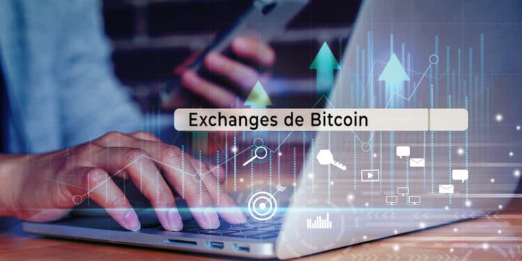 trafico-web-exchangesc-criptomonedas