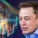 Elon Musk y BTC con gráficos.