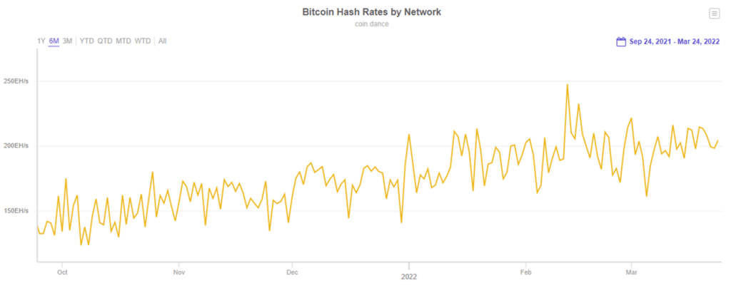EL hashrate de Bitcoin entre 2021 y 20022 - Mejores mineros ASIC de Bitcoin en 2022