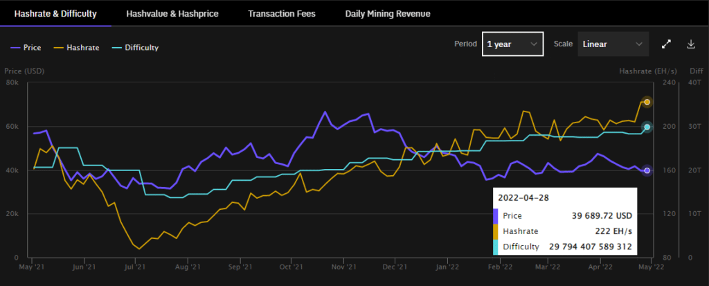 Gráfico de crecimiento de un año del hashrate de Bitcoin y su ATH