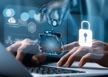Diferentes categorías de carteras de criptomonedas atienden a usuarios con diferentes requerimientos. Composición por CriptoNoticias. Fuente: LuckyStep ; Thapana_Studio / stock.adobe.com / pngegg.com.