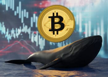 Los datos de Glassnode muestran que los grandes acumuladores de bitcoin se están desprendiendo de sus tenencias. Composición por CriptoNoticias. nuttapon/ stock.adobe.com; denisismagilov/ stock.adobe.com