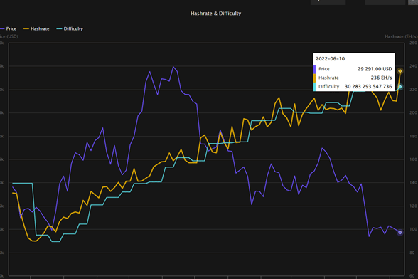 Hashrate de Bitcoin.