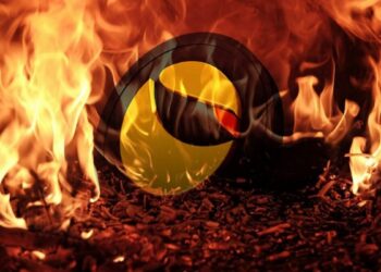 Moneda Terra prendida en fuego