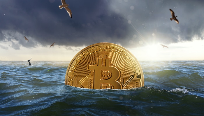 inundacion en la mempool de bitcoin