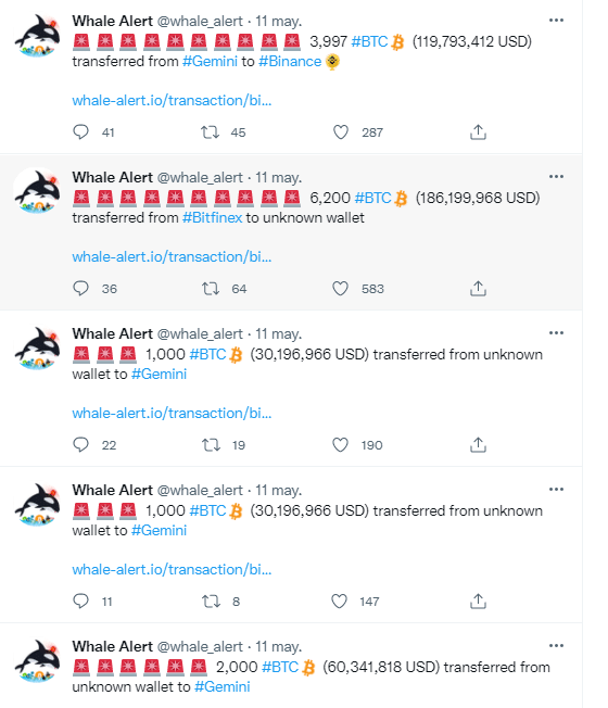 Tuit de Whale Alert.