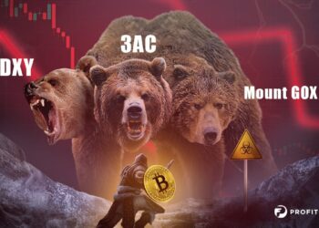 Tres osos furiosos amenazan a un guerrero con un escudo de bitcoin.