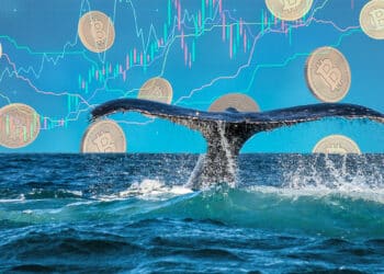 ballena nadando en el mar con monedas de bitcoin cayendo y gráfico de precio en el fondo