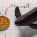 Ballena con gráfico de velas y Bitcoin