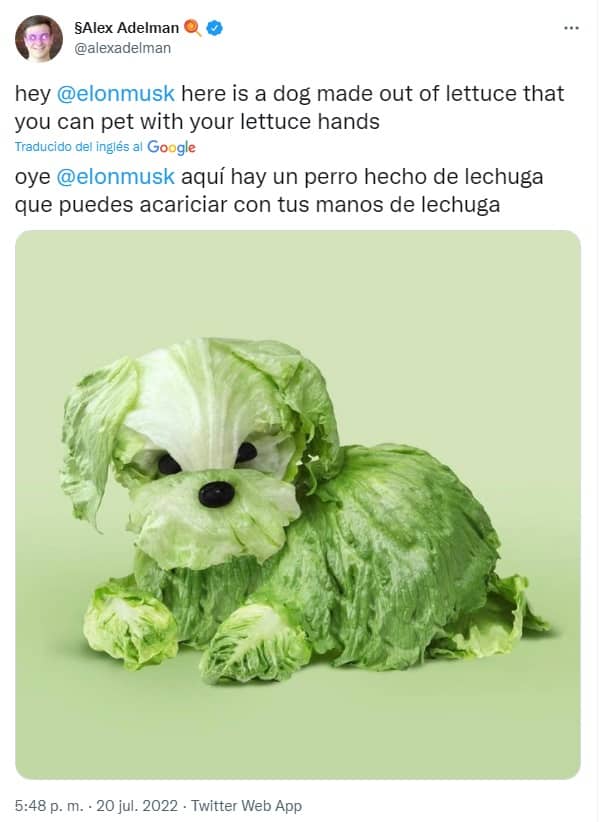 usuario de twitter bromea sobre la venta de bitcoin de Tesla compartiendo la imagen de un perro de lechuga
