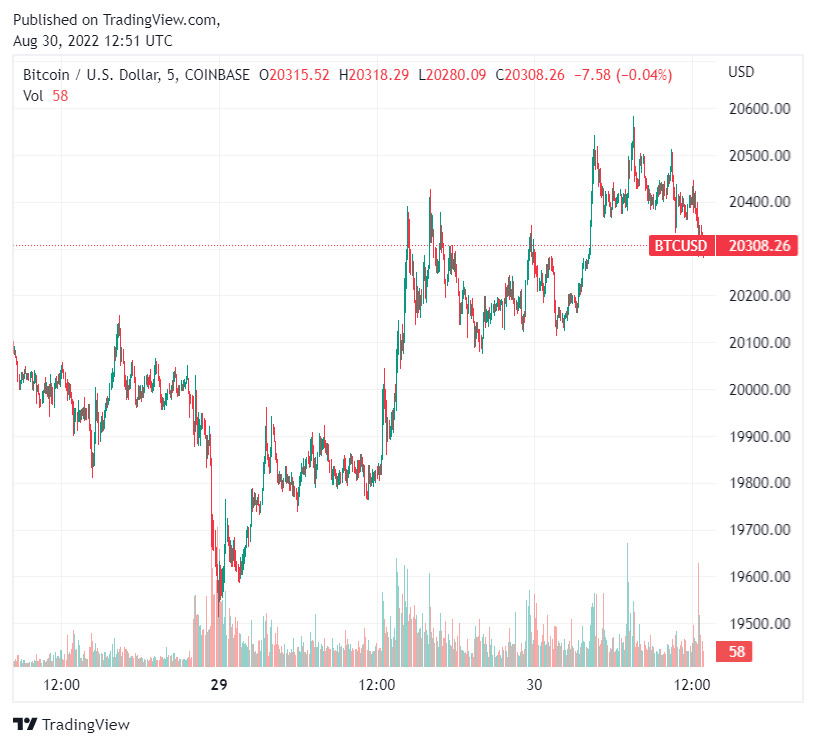 gráfico del precio de bitcoin señala precio en el nivel de los 20.000 dólares