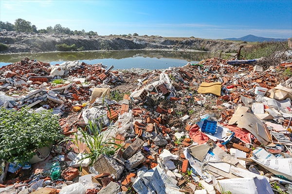 basura acumulada junto a un lago