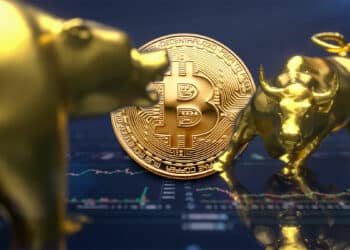 bitcoin entre oso y toro