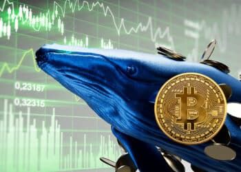 Ballena con bitcoin y gráfico verde