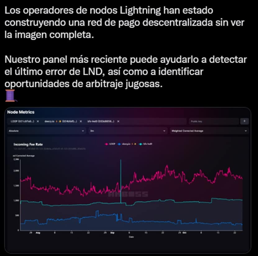 datos ofrecidos por Amboss Space sobre la red lightning