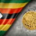 Bandera de Zimbabue y signos de interrogación con criptomoneda genérica