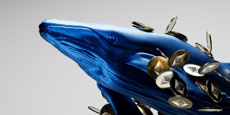 Se detectan movimientos de las ballenas de Ethereum. Composición por CriptoNoticias. Fuente: Kritsada / adobe.stock.com ; ETH / cryptologos.cc.
