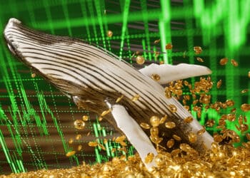 Ballena entre Bitcoins y gráfico verde