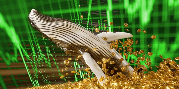 Ballena entre Bitcoins y gráfico verde