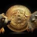 Precio fluctuante de bitcoin, oso y toro a los costados