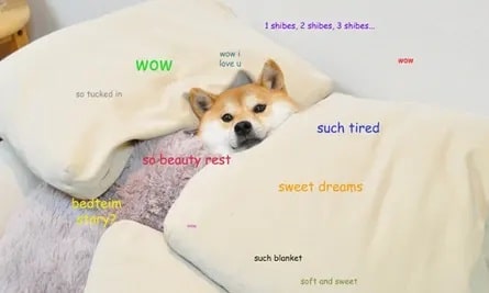 meme dogecoin