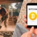 Obrero trabajando y bitcoin.