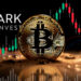 Ark Invest, bitcoin y soporte.