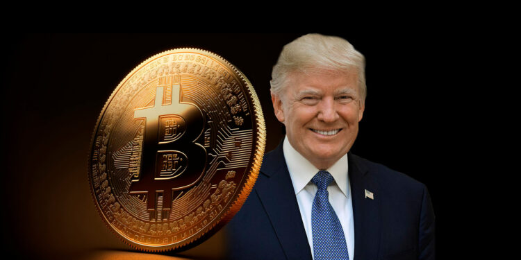 Donald Trump y bitcoin.