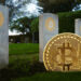 moneda de bitcoin surgiendo de suelo de cementerio junto a tumbas con logo de bitcoin
