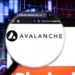 Se incrementan las transacciones diarias en Avalanche - stock.adobe.com