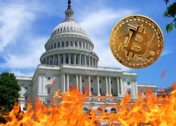 Dennis Porter enumeró los escenarios que podrían materializarse si la propuesta de Warren avanza. Fuente: Composición por CriptoNoticias.