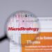 MicroStrategy es la empresa de cotización pública con más bitcoin en su tesorería. Fuente: stock.adobe.com
