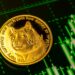 Moneda de Dogecoin sobre un tablero con un gráfico ascendente en verde